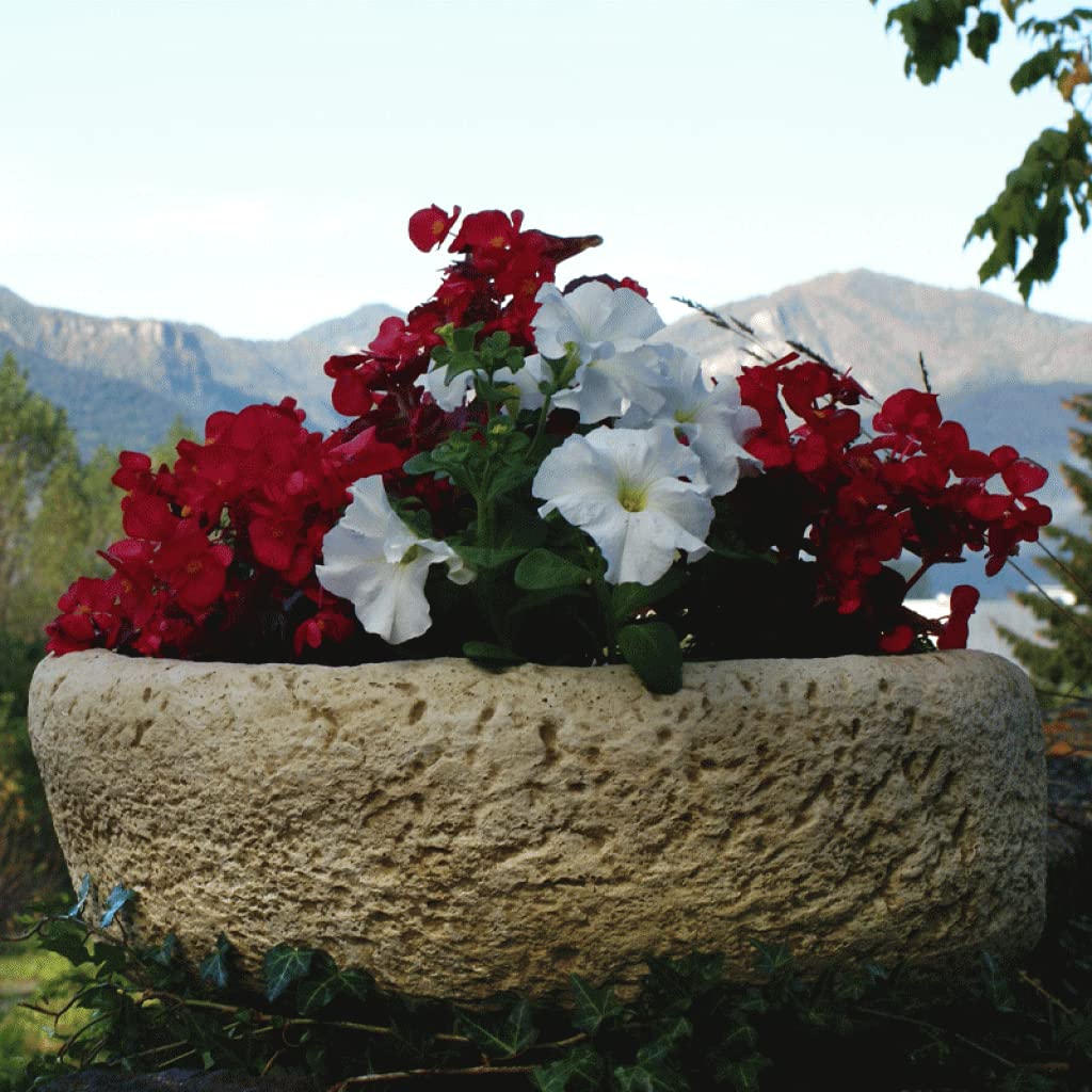 AnaParra Pila - Jardinera Rústica 40x23x14cm. Maceta para Exterior de Hormigón Piedra| Capacidad: 7L. Peso: 11Kg.