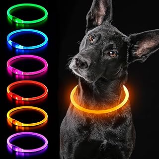 iTayga leuchthalsband Hund, USB-aufladbar und wasserdicht hundehalsband, verstellbare Länge, Sicherheitshalsband für Hunde und Katzen, 3 Modi, Orange