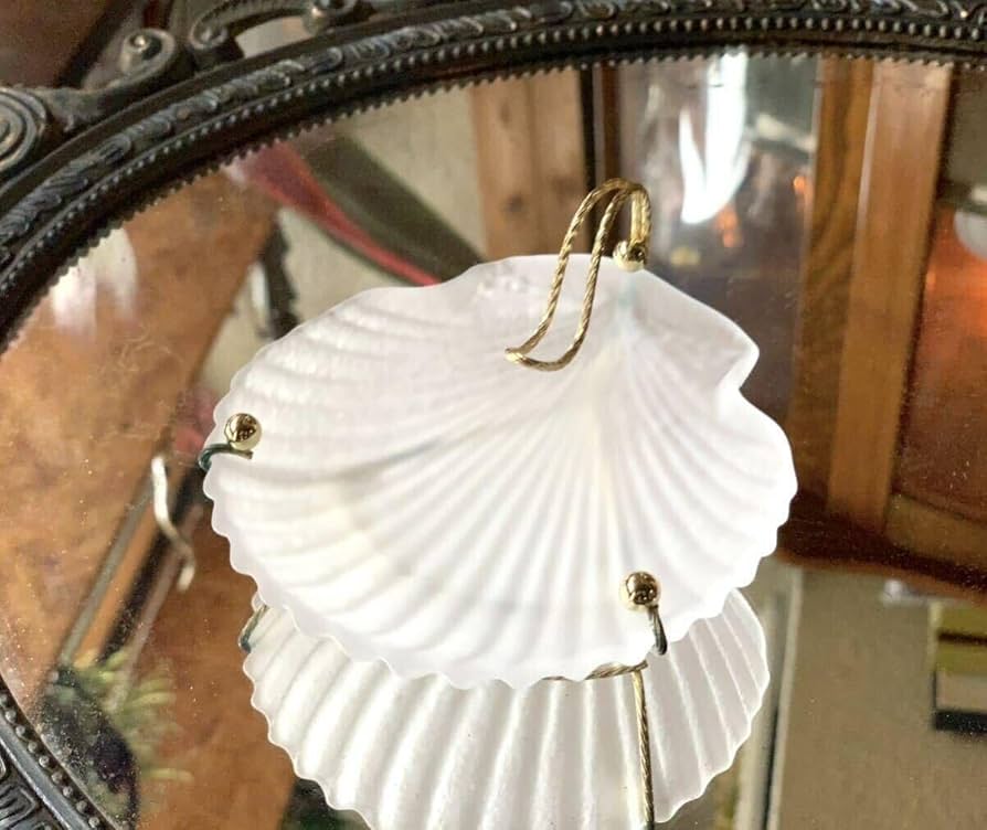 シェル シャコ貝 置物 灰皿 小物入れ シェル シャコ貝 置物 灰皿 小物入れ