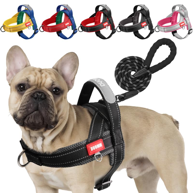 LiebeDD Hundegeschirr mit Leine für Mittelgroße Kleine Hunde Welpen, Bunt Farbblock Geschirr, Mesh Gepolstert Brustgeschirr Hund mit Griff und Brustring, Reflektierend & Leicht, Schwarzgrau, L