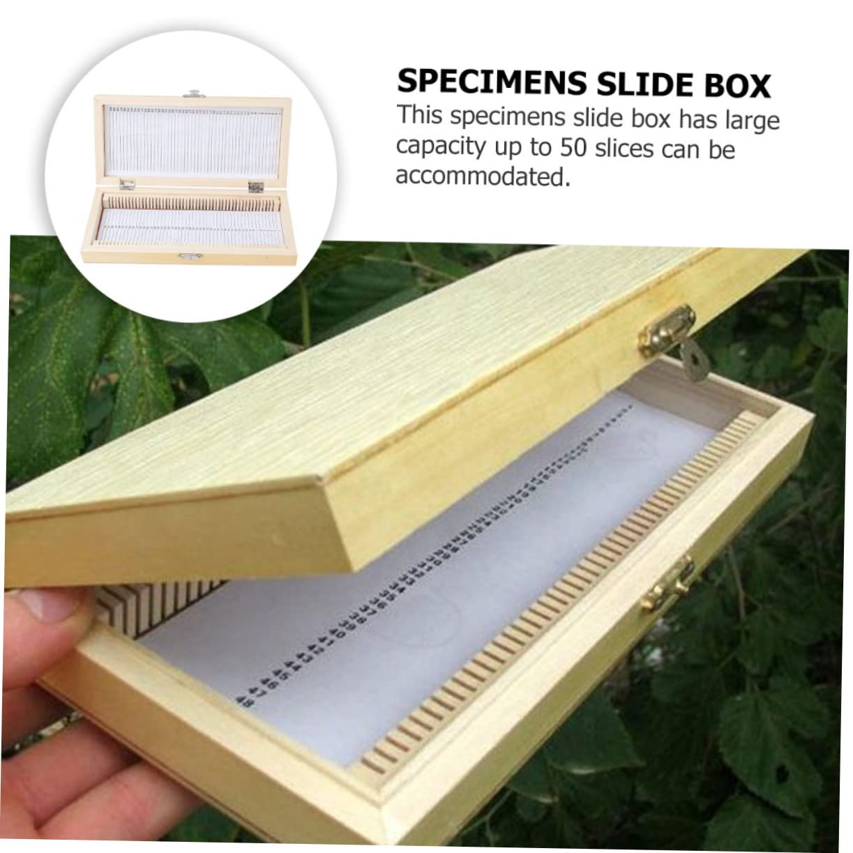 CIYODO Box Quality Slice Box Specimens Case Biology Slide Storage Case Case Slide Case Microscope Slide Storage System Slide Holder Slide Organizer Pull Tail Game Wood