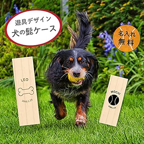 Amazon 名入れ無料 メール便 犬のひげケース D 遊具 ゆうぐ Lサイズ ヒゲ 髭 ひげ イヌ いぬ 犬 メモリアル ペット お名前入り オリジナル 名入れ 保管 お守り 犬のひげ入れ 動物 メモリアルグッズ 名前 かわいい プレゼント ギフト ケース 記念品