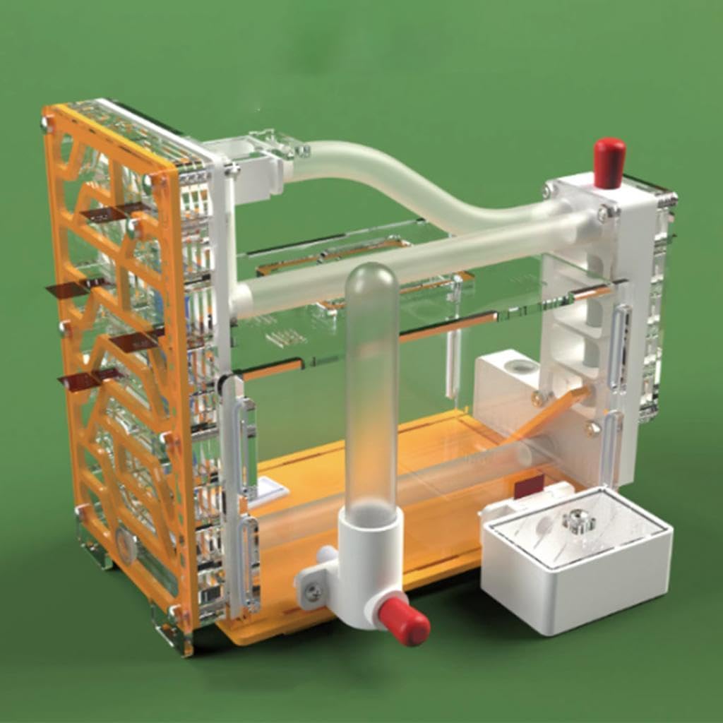 Kit Científico para Construir Un Hormiguero (Castillo/Villa), Observación de Hormigas Y Cría de Hormigas para Proyectos Escolares.