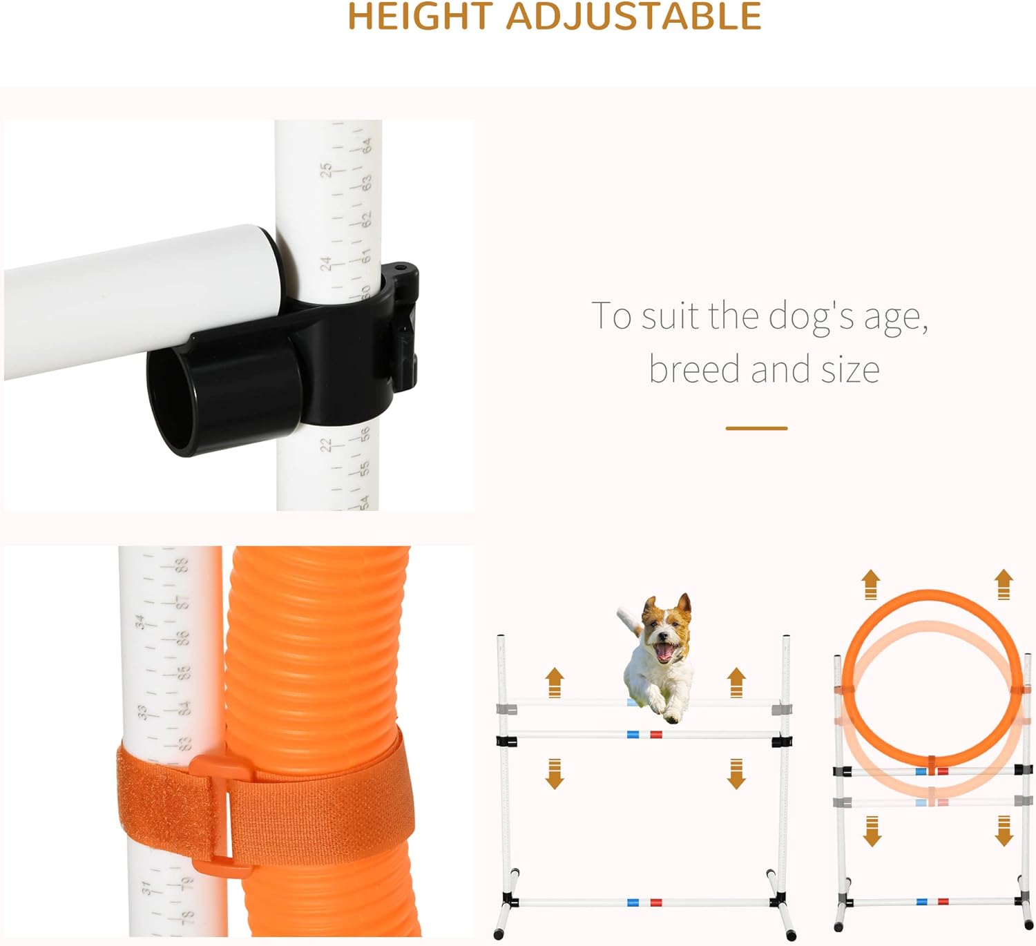 Image showing a dog agility hurdle with adjustable height settings, demonstrating how the horizontal bar can be moved up or down.