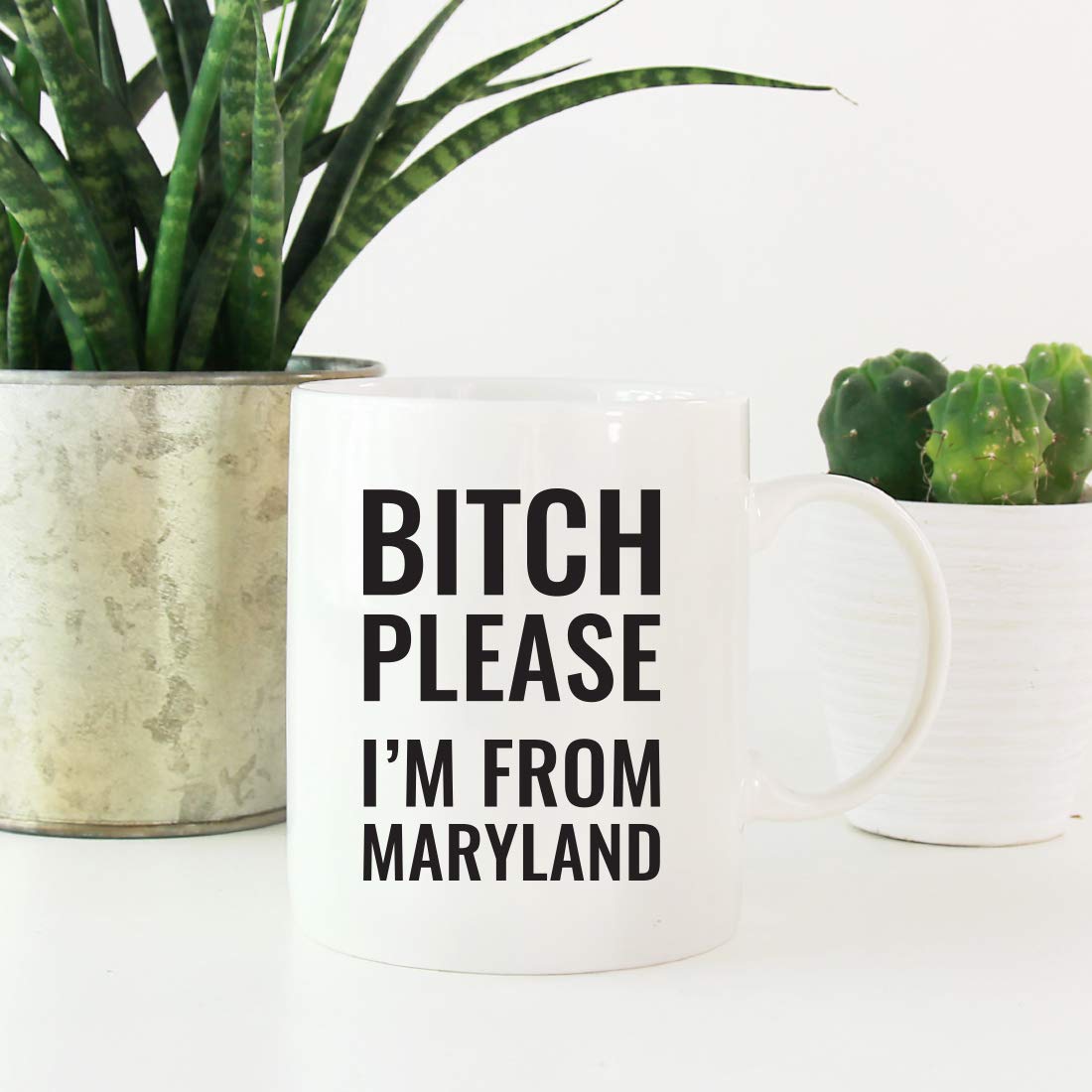 Andaz Press 11oz. Coffee Mug Gag Gift, Bitch Please I'm from Maryland, 1-Pack, Includes Gift Box, Funny Christmas Birthday Friend Coworker Long Distance Moving Away Hostess Present Ideas