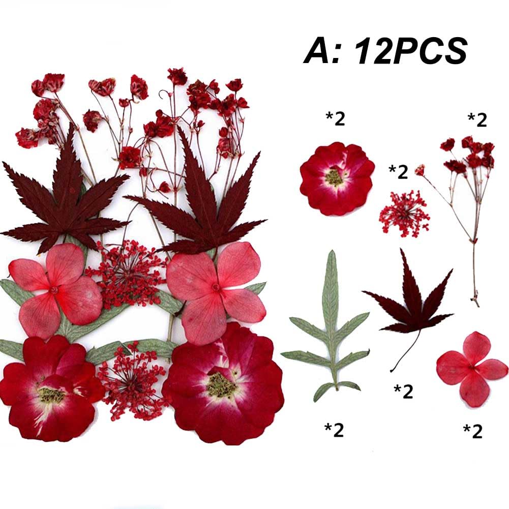 Kit Fleurs Séchées Naturelles - 48 Pièces Multicolores Pour Scrapbooking, Déco Ou Création DIY