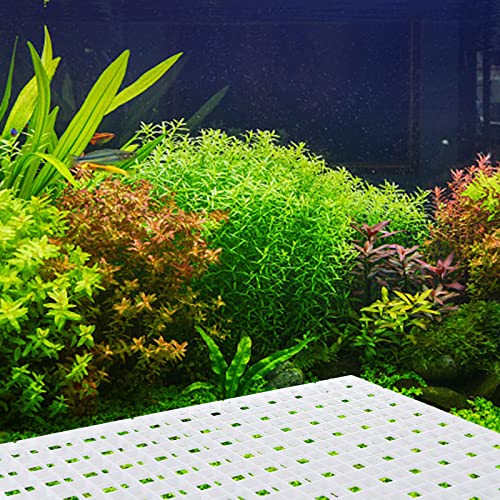 Obangong 4 Pcs Aquarium Grid Divider Tray Egg Crate Grid Louvre Aquarium Fish Tank Divider 12X12 Inch Bottom Isolation Board For Mixed Breeding With 6 Pcs Sucker Clip,Hole Diameter 0.4Inch #TOP5