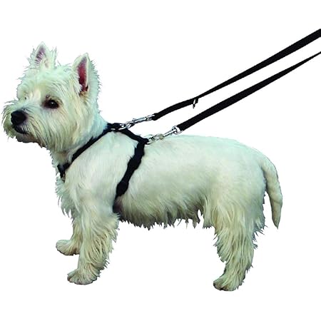 kumfi complete control lead