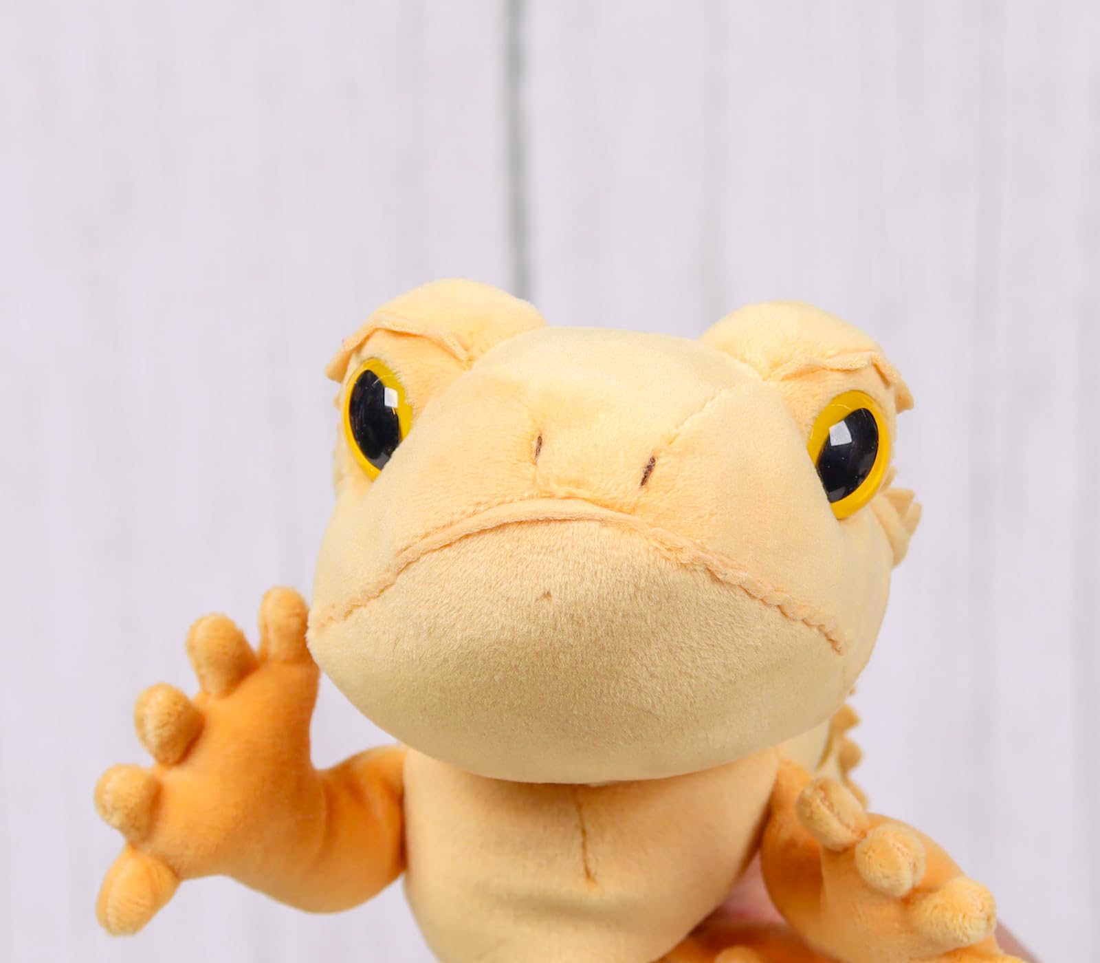 Amazon.co.jp: テイクオフ ぬいぐるみ クレステッドゲッコー S : おもちゃ