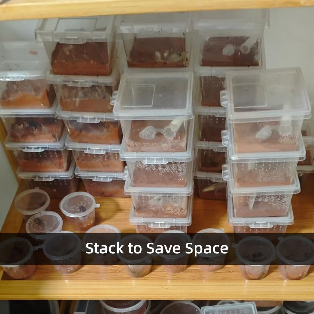 15 terrari per ragni, piccoli contenitori per cova insetti, scatola di alimentazione in plastica per piccoli rettili che saltano ragno, scorpione, millepiedi insetti