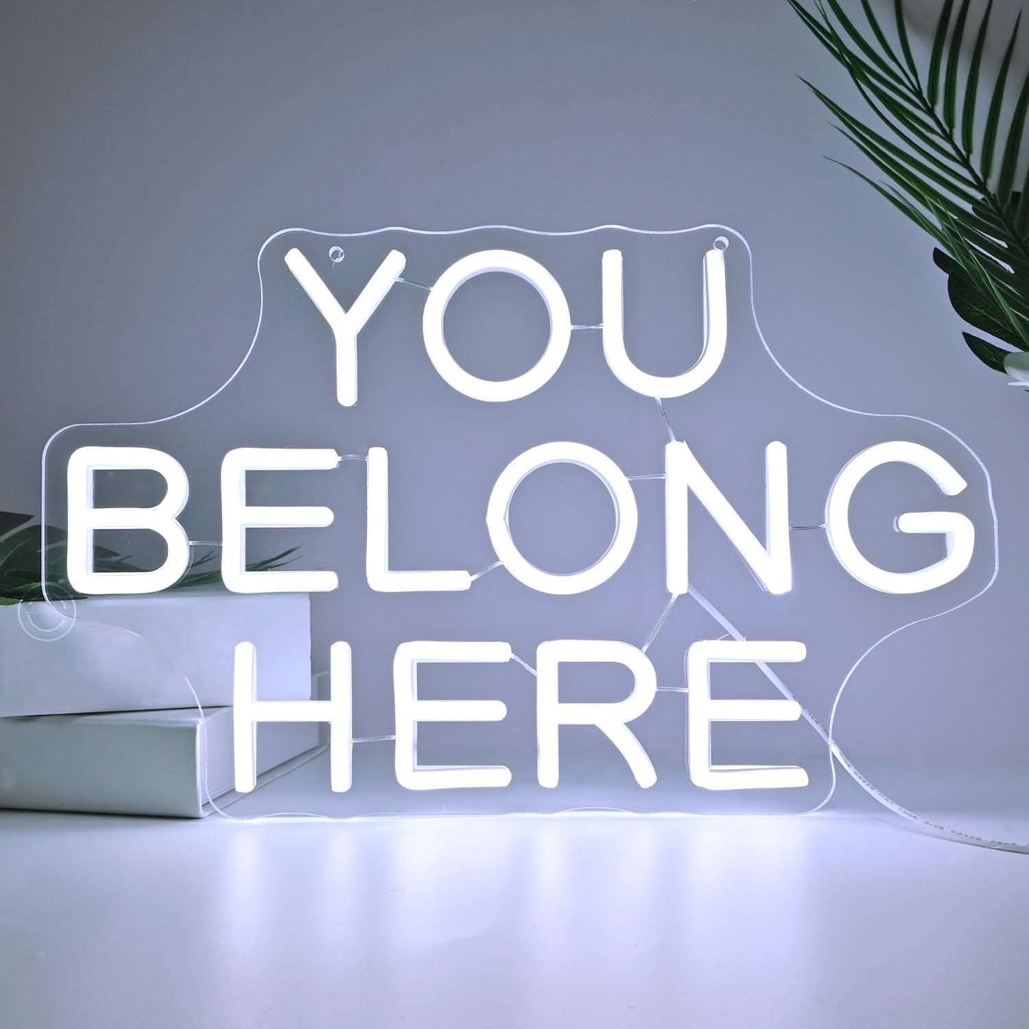 Britrio You Belong Here Neon Signs for Classroom Wall Decor Bedroom Dorm Office Game Room Man Cave LED Neon Light Sign Party Gift Inspirational Quote LED Light for Business Cafe Shop Bar Pub Salon 5V