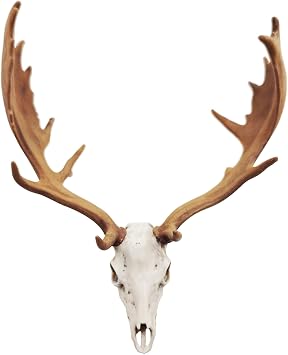 Decorative Deer Skull Replica, Highly Detailed Faux Specimen, White 3" 76.2 mm, Bone hand painted