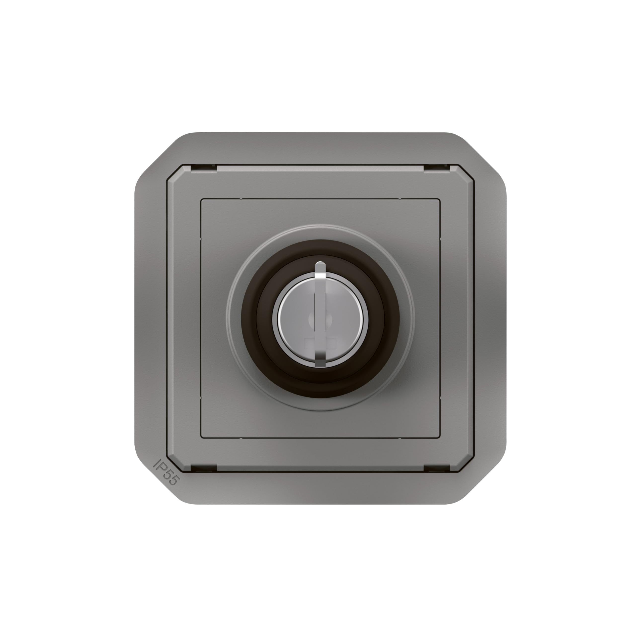 interrupteur à clé - ronis - 2 positions - gris - composable - legrand plexo 069534l