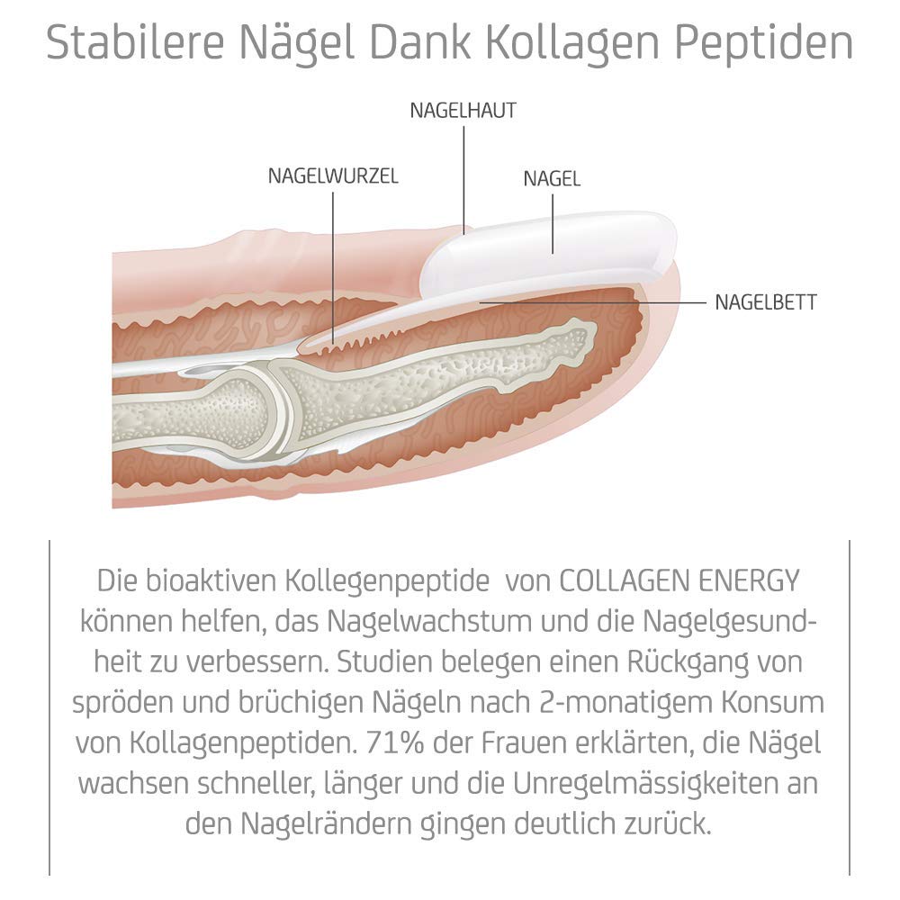 GoMo ENERGY – Collagen Energy Getränkepulver mit 5000mg Marine Kollagen, Biotin, Zink, Selen, Vitamin B & Vitamin C – zuckerfreier Kollagen Drink für Bindegewebe, Haut, Haare & Nägel (30 Portionen)