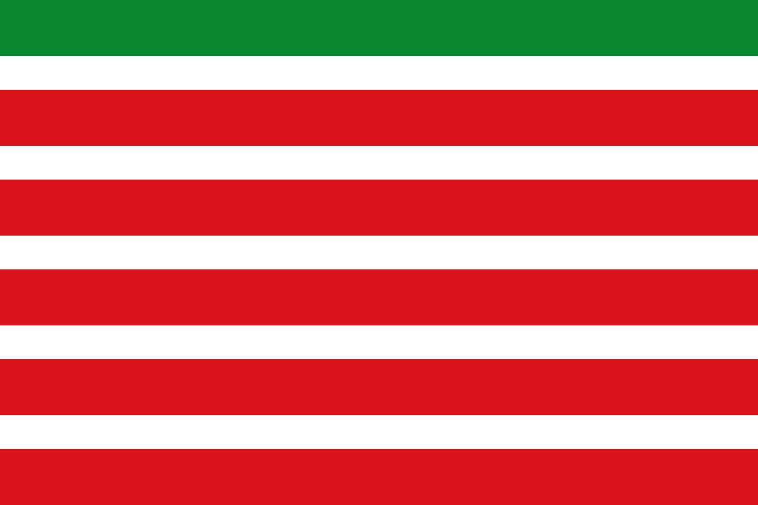 Drapeau de Trabazos Zamora grand format pour extérieur et collection