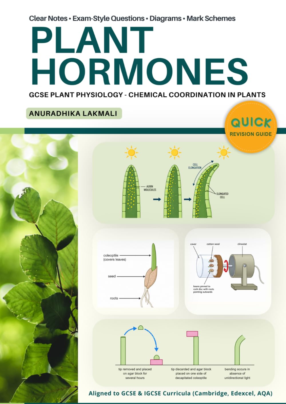 Plant Physiology GCSE 2025–2026: Chemical Coordination in Plants: GCSE Biology revision guide covering tropisms, plant hormones, auxin, phototropism, ... and exam-style practice questions.