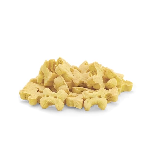 Foto 5 de 5 de Record - BiscoRe - Galletas Naturales para Perros de Manzana, tamaño Grande de 2,5 kg. Snacks cocidos…