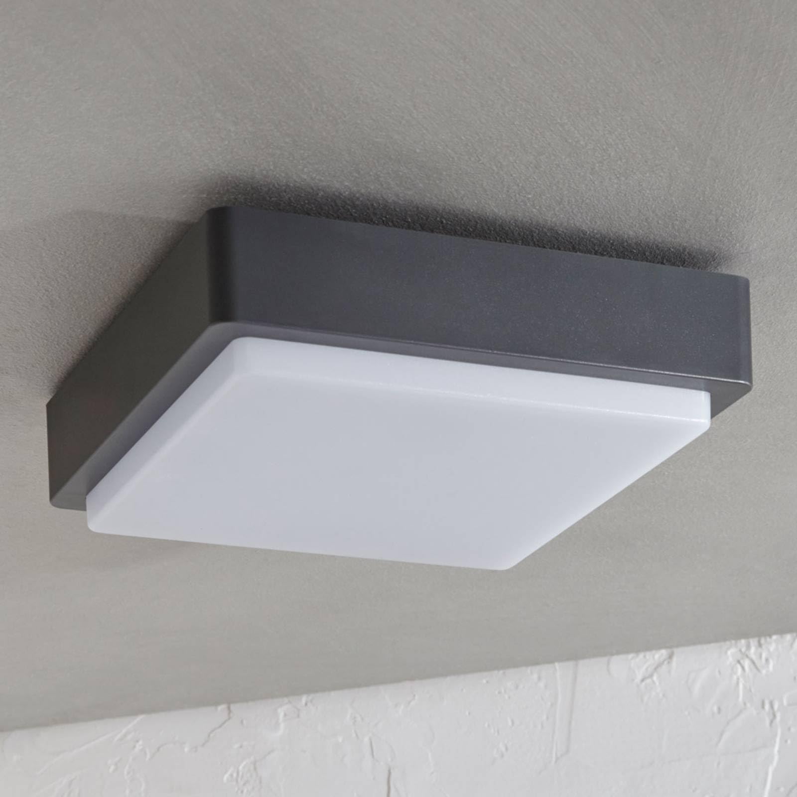 Lindby LED Lámparas de techo Nermin (Moderno) en Negro hecho Plástico (1 llama, lámpara exterior para el jardín, la terraza balcón y vivienda