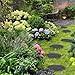 Gehwege für den Außenbereich | Dekoration für Wege und Gartenmöbel, Set von Sprossen für Steine im Freien für Garten, Terrasse, Pool, Spielfeld im Freien