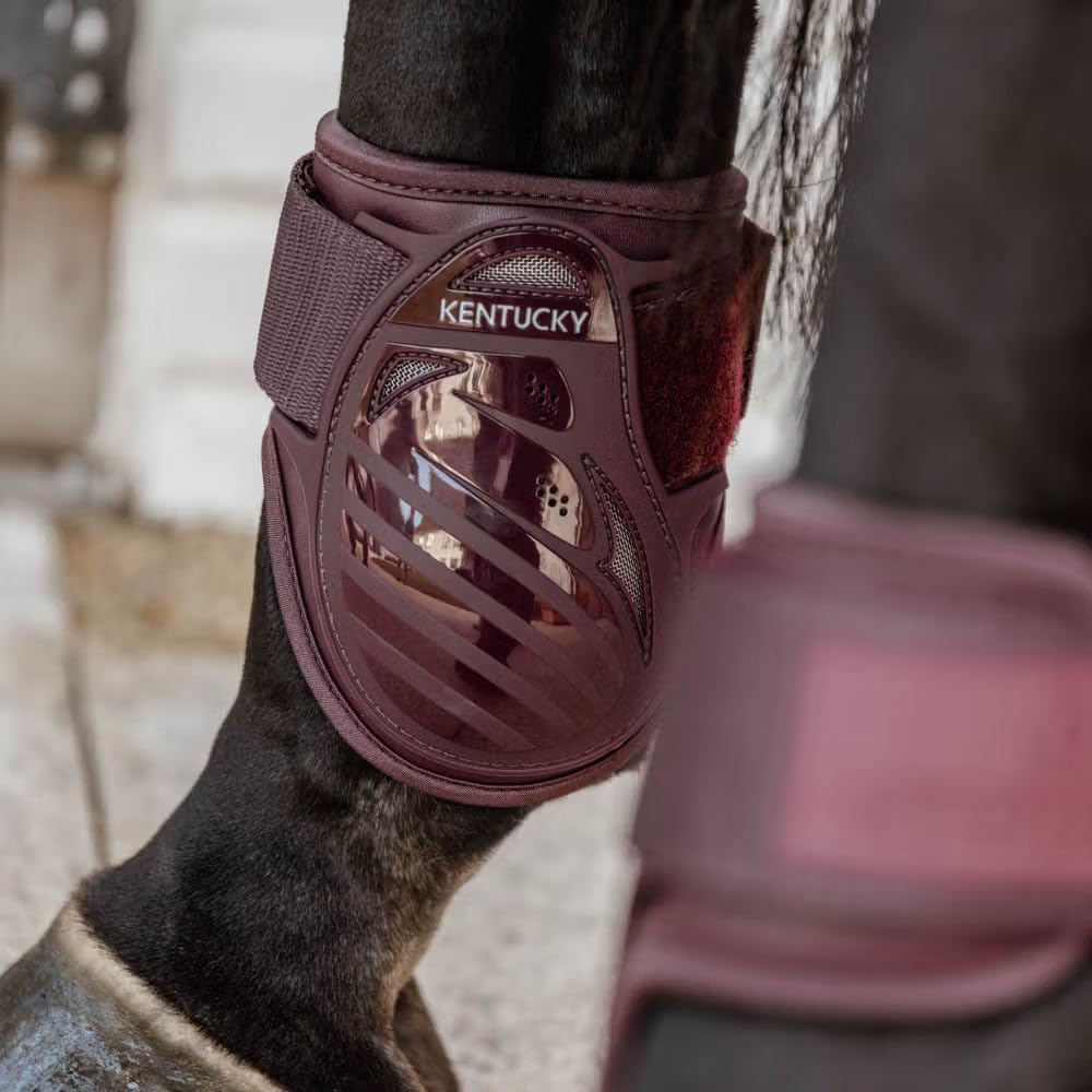 Kentucky Protector de los Cascos para Caballos jóvenes