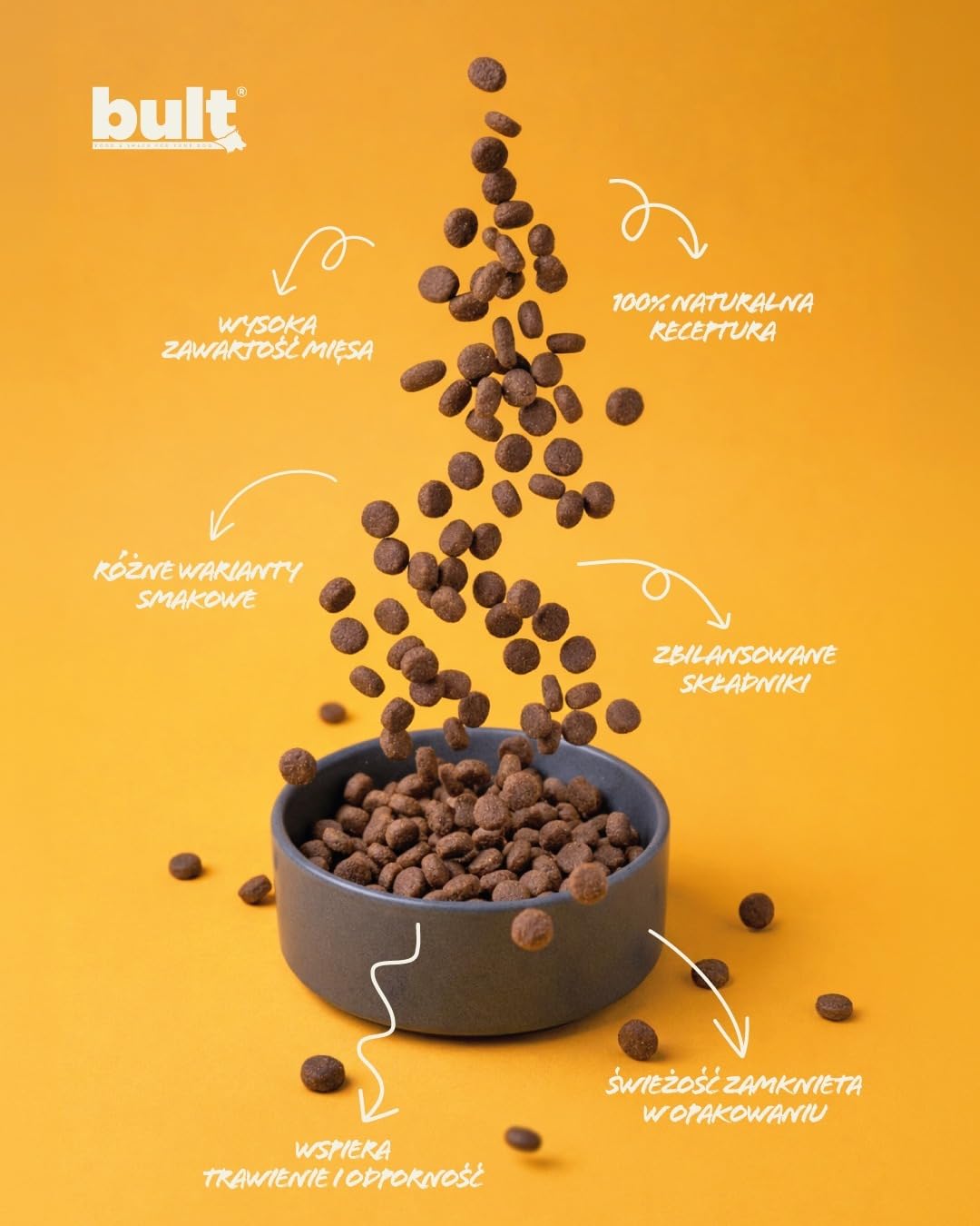 BULT Natürliches Nassfutter für Hunde, Hundefutter Lachs + Forelle, 3k g | Trockenfutter - Forelle & Lachs - 3kg - Erwachsene - Kroketten - getreidefrei