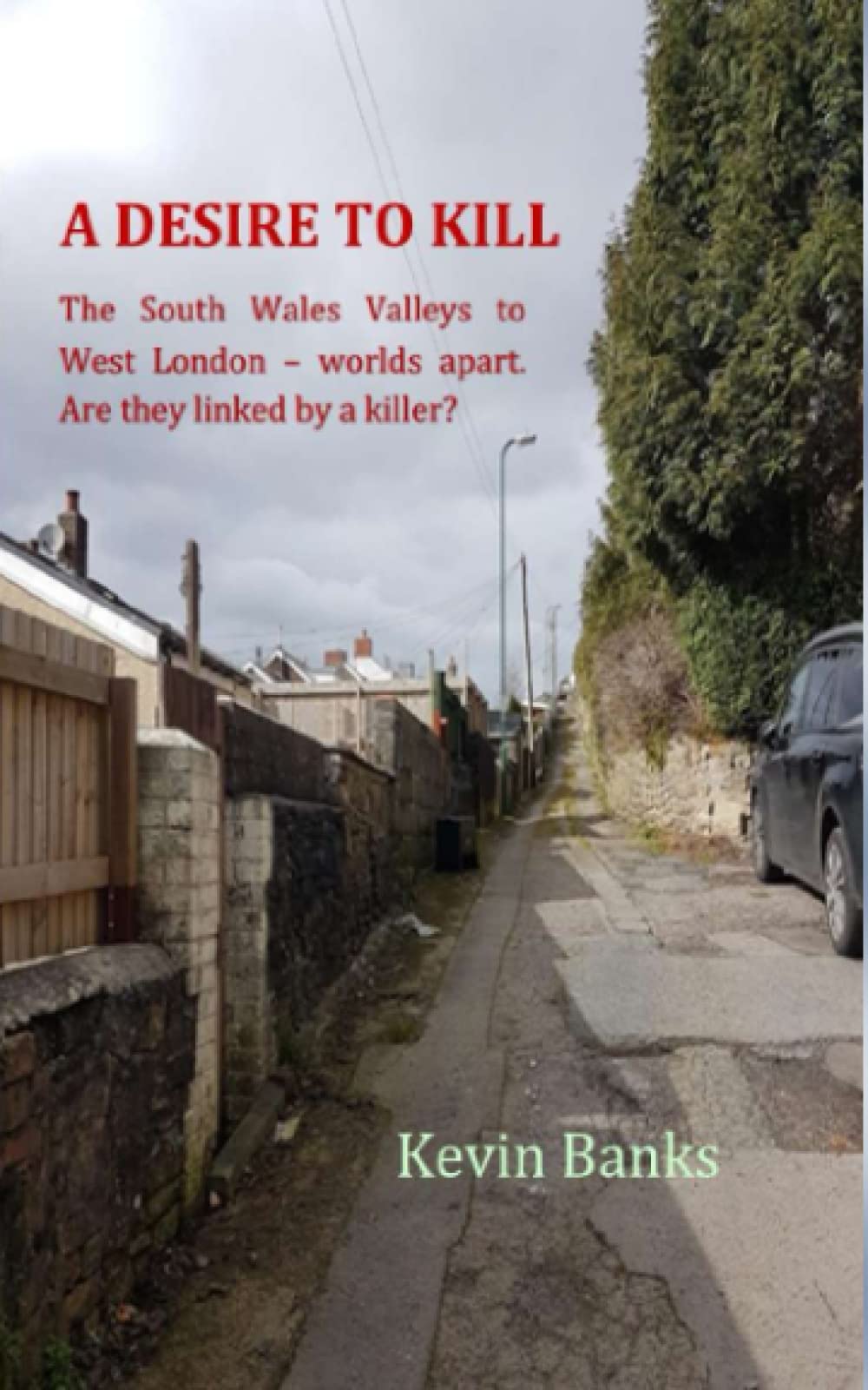 A Desire to Kill: The Mystery of Harold Jones