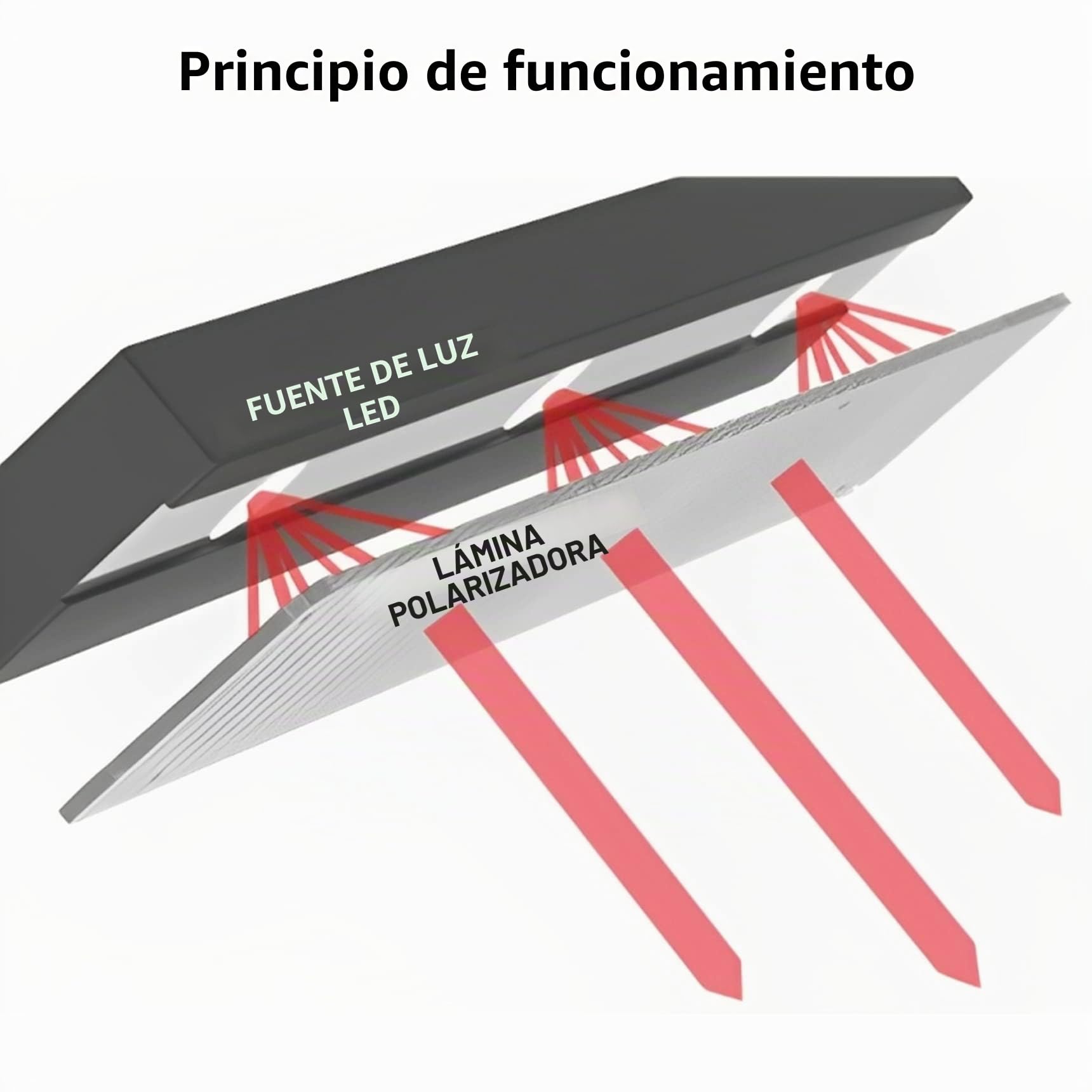 Selens 2 polarizantes de Filtro de polarización Lineal de 20x30 cm para Pantallas, fotografía y educación física