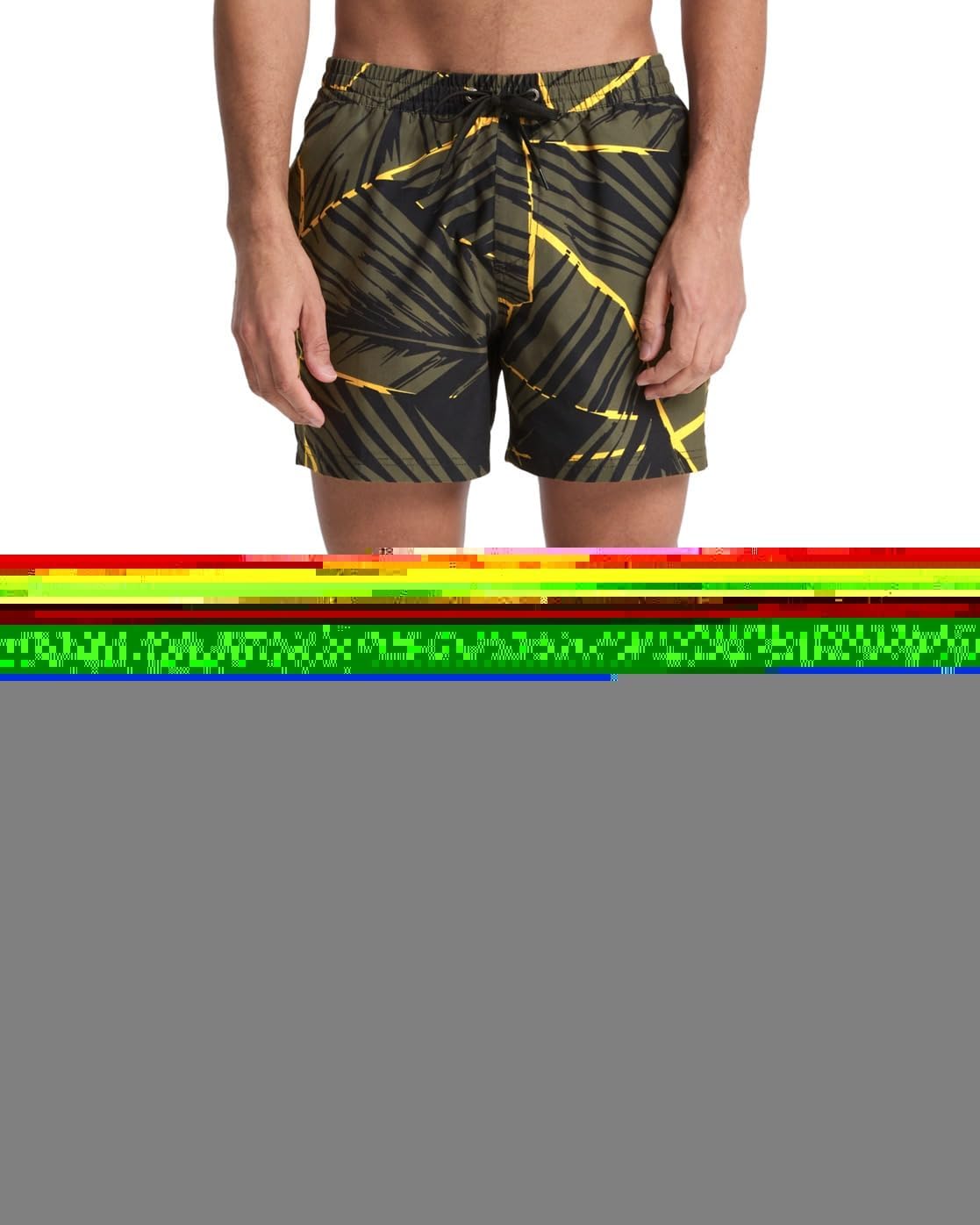 Quiksilver Men's Everyday Printed Volley 15 Board Shorts, Grape Leaf Natural Geo, L