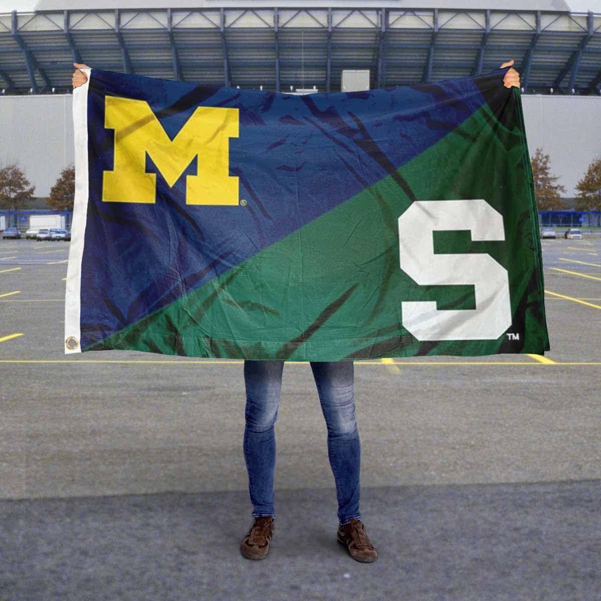 Michigan vs. Michigan State House Divided Flag