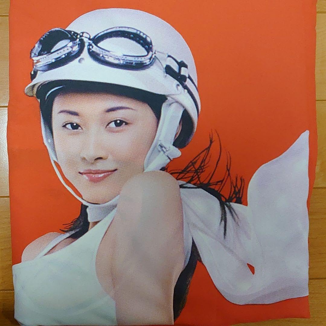 Amazon.co.jp: 菊川玲の旗 : おもちゃ