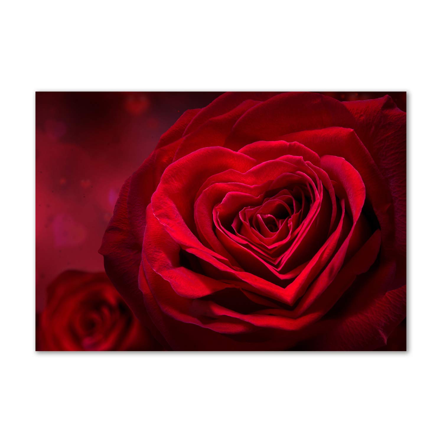 Fleurs et plantes tulup impression sur verre image tableau photo décorative panoramique rouge