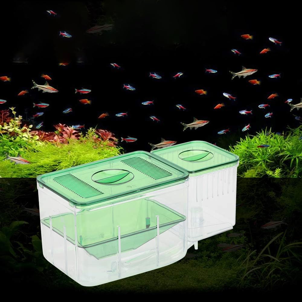 Acquario per Pesci Scatola di Riproduzione Scatola di Riproduzione per Pesci a Doppio Strato Scatola di Isolamento Incubatrice per la schiusa degli avannotti per l'allevamento Incubatrice