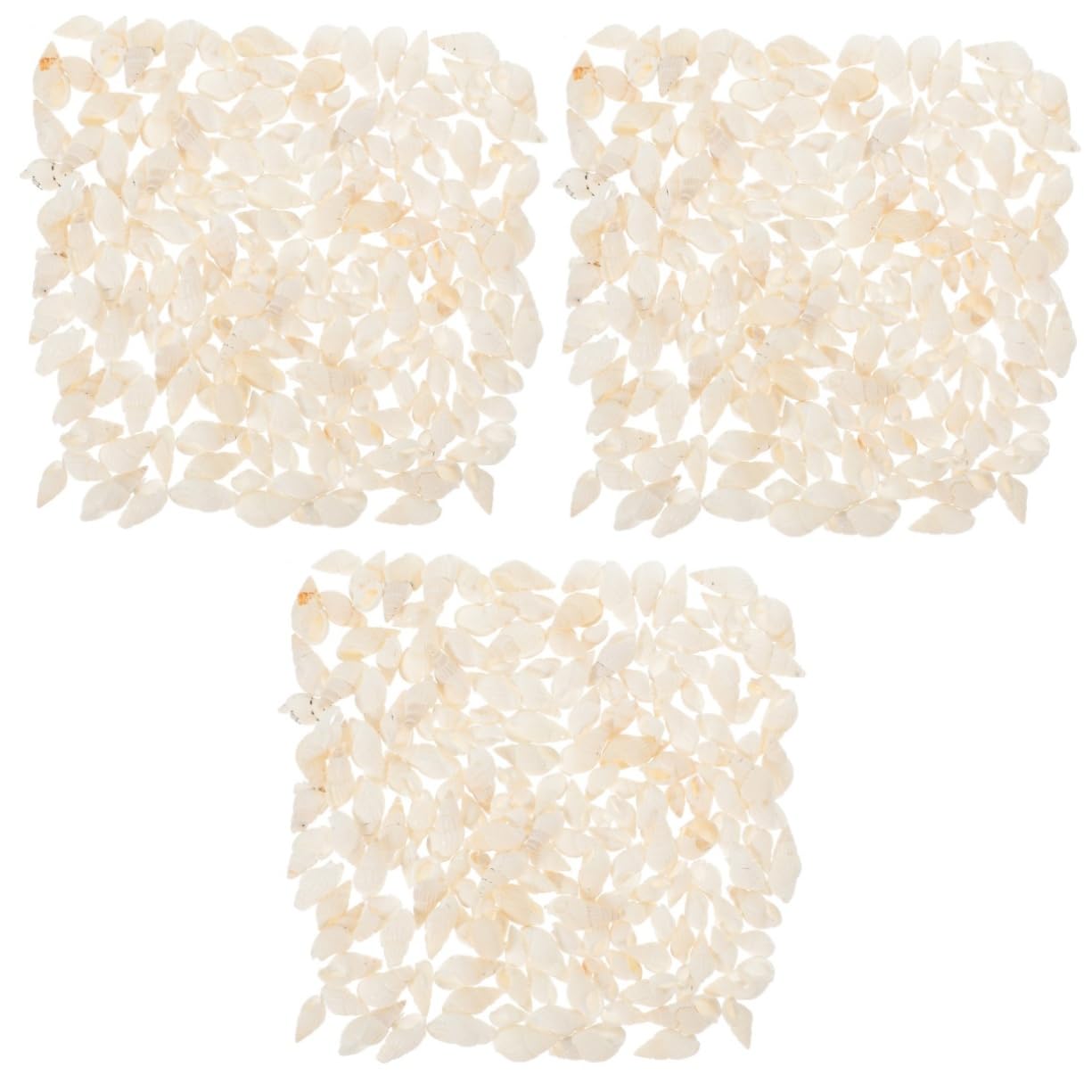OUNONA 3 Set Decorazioni di Conchiglie Piccoli Acquari Mini Conchiglie Conchiglie di Capesante Conchiglie per Acquari Conchiglie Decorazioni Nautiche Conchiglie 400 Pezzi * 3