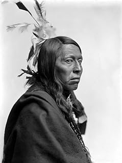 Flying Hawk (1854-1931) Noglala Sioux Chief Photograph By Gertrude KSebier C1900 Poster Print by (18 x 24)