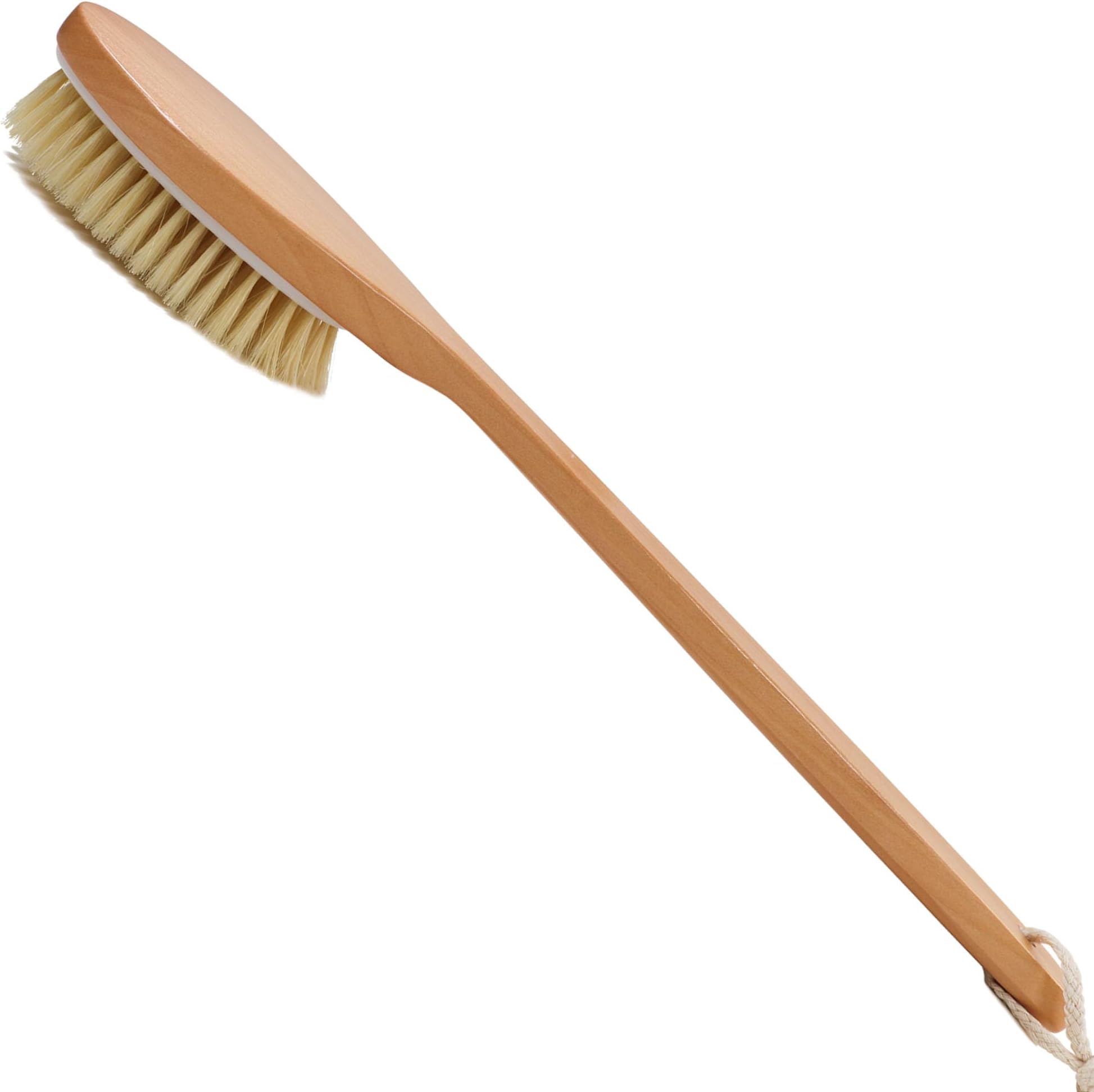 Amazon.com : Shower Brush with Natural Bristle - Long Bamboo Handle ...