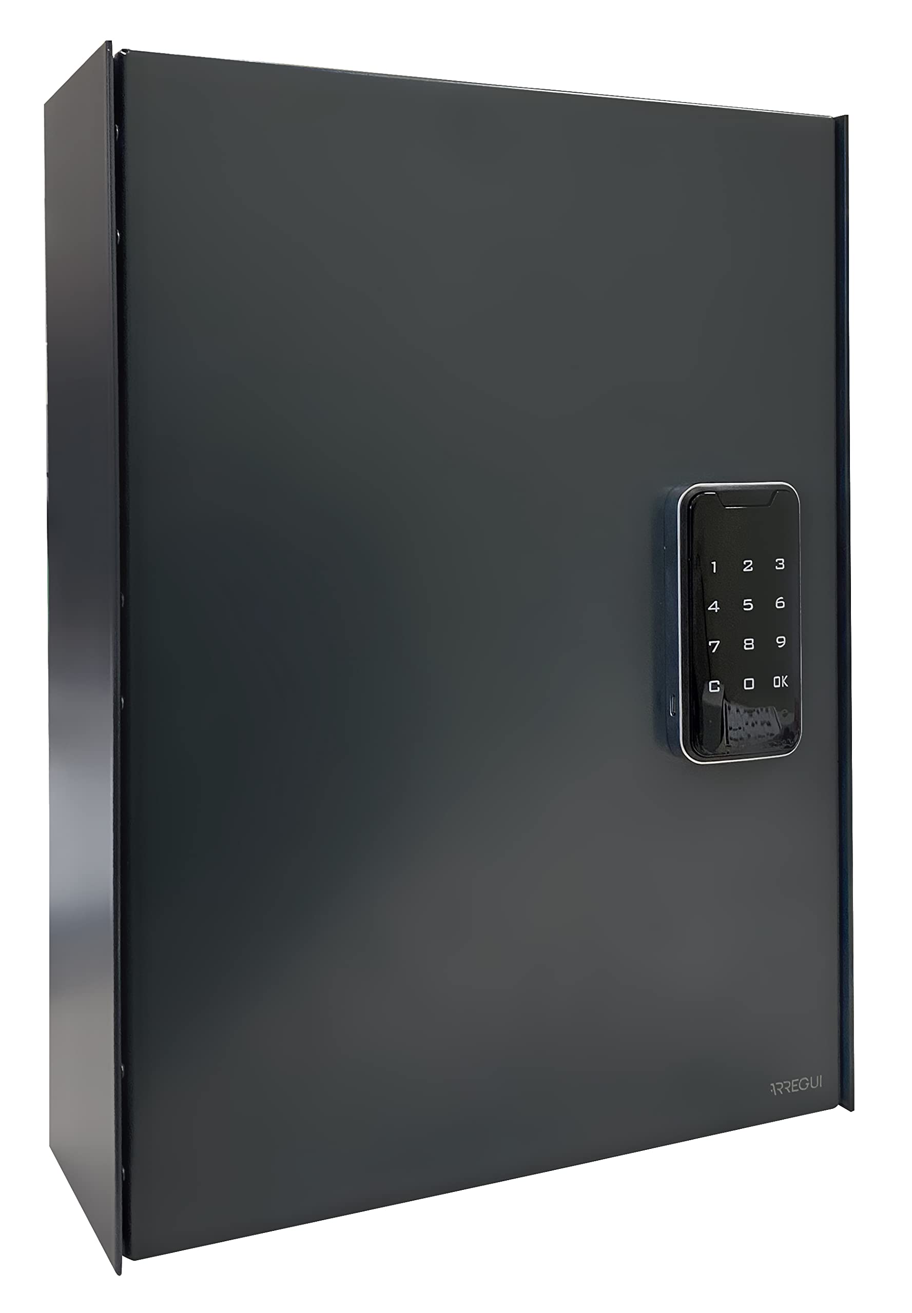 Pavo Sleutelkast high security met fingerprintslot 50 haken 550x400x100mm
