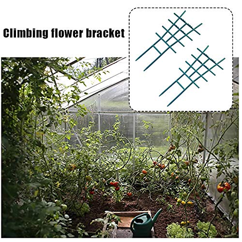 PAGOW Pflanzenstützen-Set – 8 Stück In 4 Größen (5,7–13,4 Cm), Wiederverwendbar, Für Kletterpflanzen & Blumen