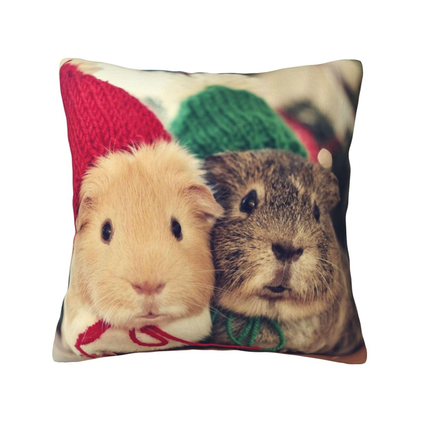 YFSGDLBN Cute guinea pigs printed Velvet pillowcase decorative Cushion Cover