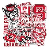 Desert Cactus North Carolina State University Sticker North Carolina State Wolfpack Vinyl Decal Laptop Water Bottle Car Scrapbook Sheet (Type A)