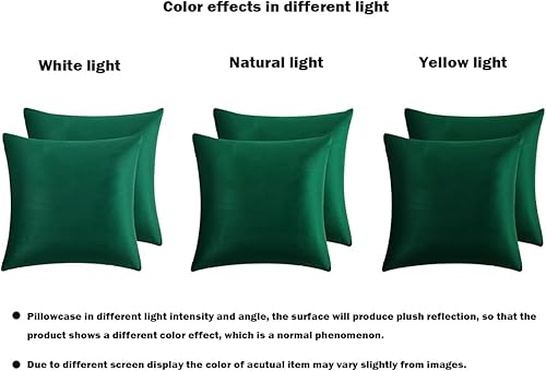 Miniatura 7 de RainRoad Juego de 2 fundas de almohada decorativas de terciopelo suave de 20 x 20 pulgadas para sofá y cama (verde oscuro, 20 x 20 pulgadas (paquete