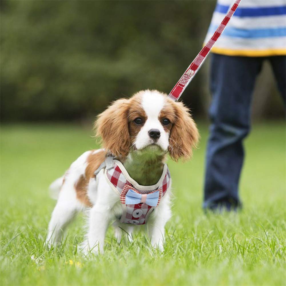 SOCHII Niedliches Katzengeschirr und Leine, Set aus Nylon-Netzgewebe, Haustiergeschirr, Leine, Katzenhalsband, Kleidung, Weste für kleine Katzen, Hunde, Kätzchen, Haustierbedarf, 3 m