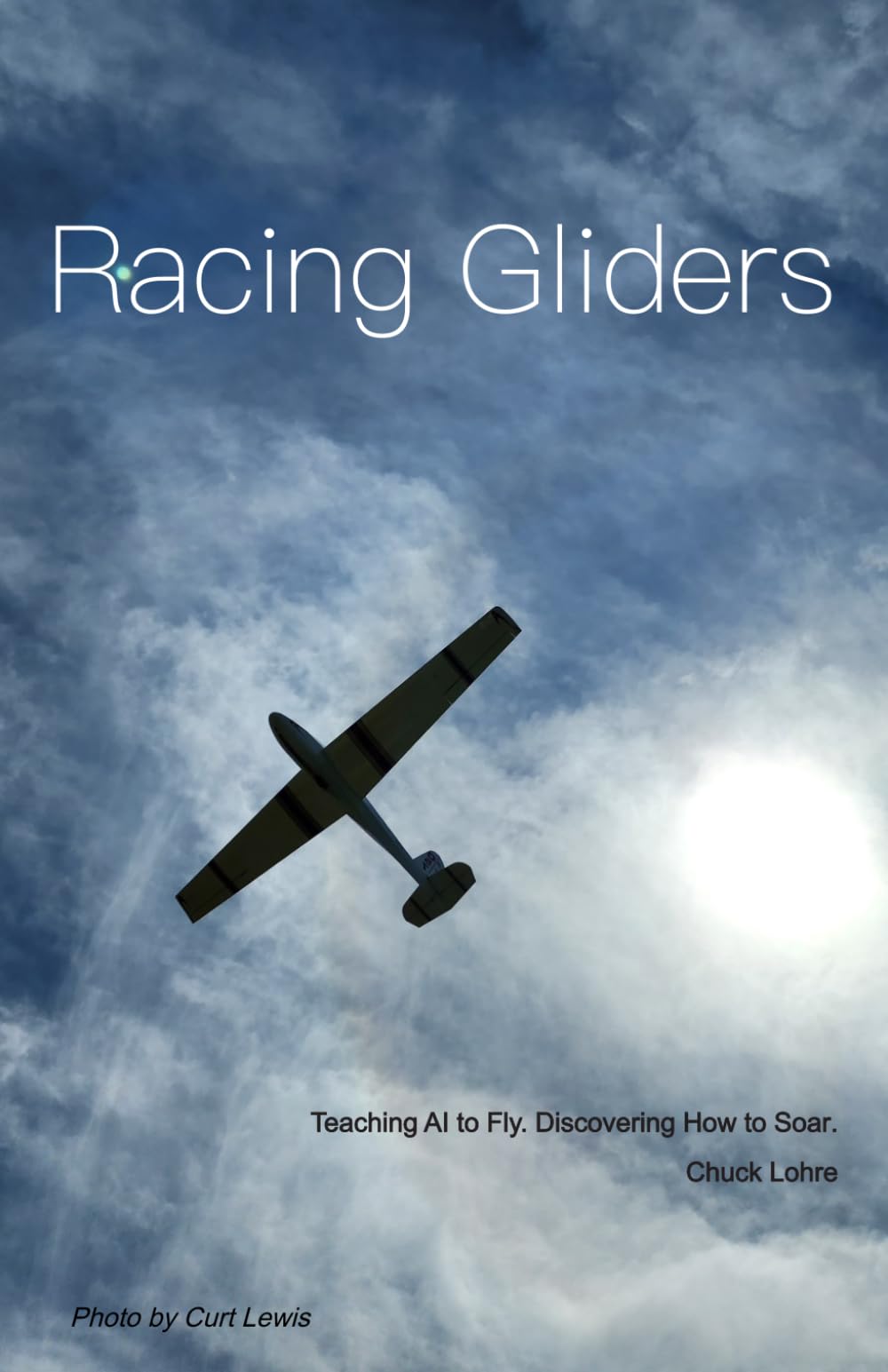 Racing Gliders: Teaching AI to Fly. Discovering How to Soar. (Dream Pretend Imagine Series)