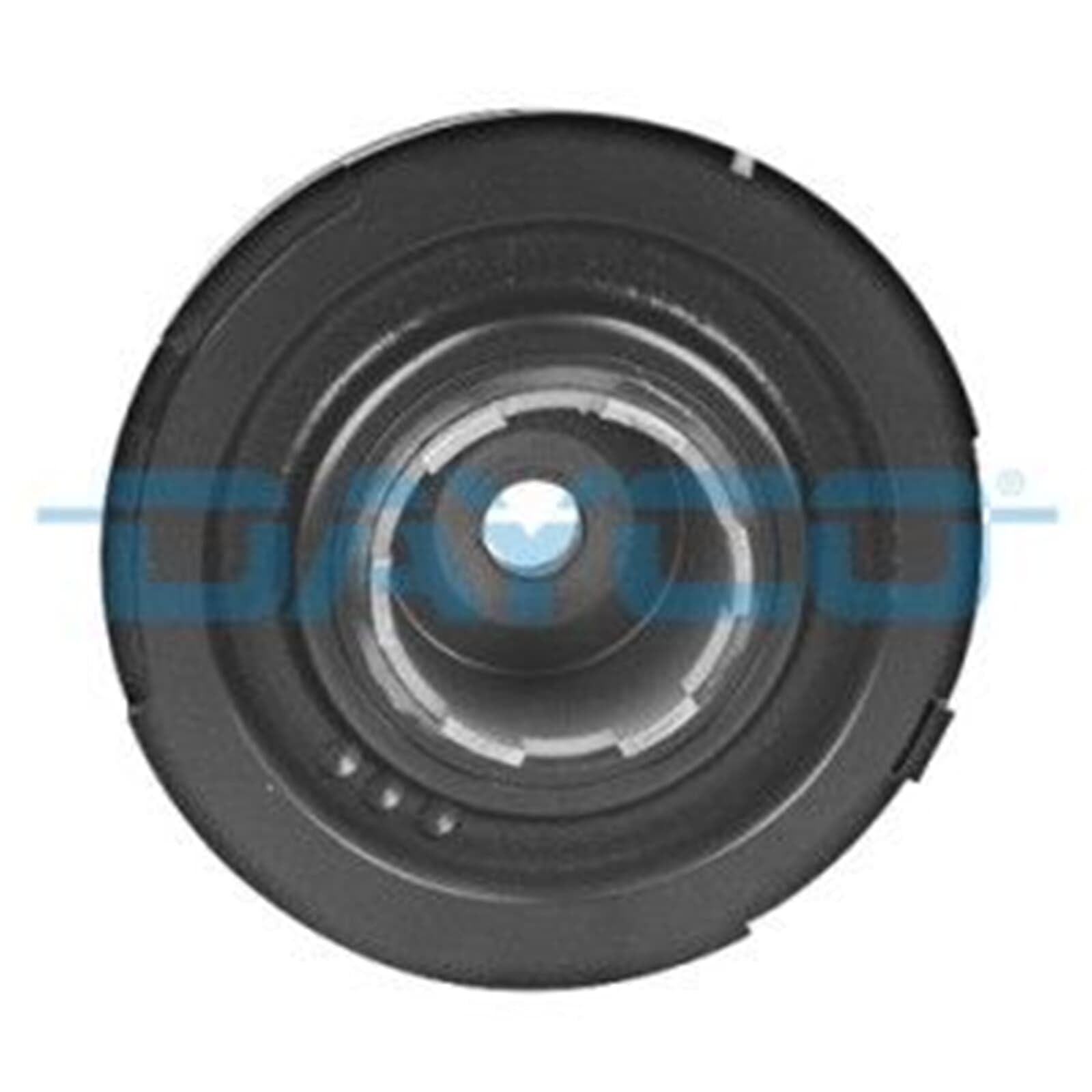 DAYCO DPV1073 SMORZATORE Land Rover/MG Rover