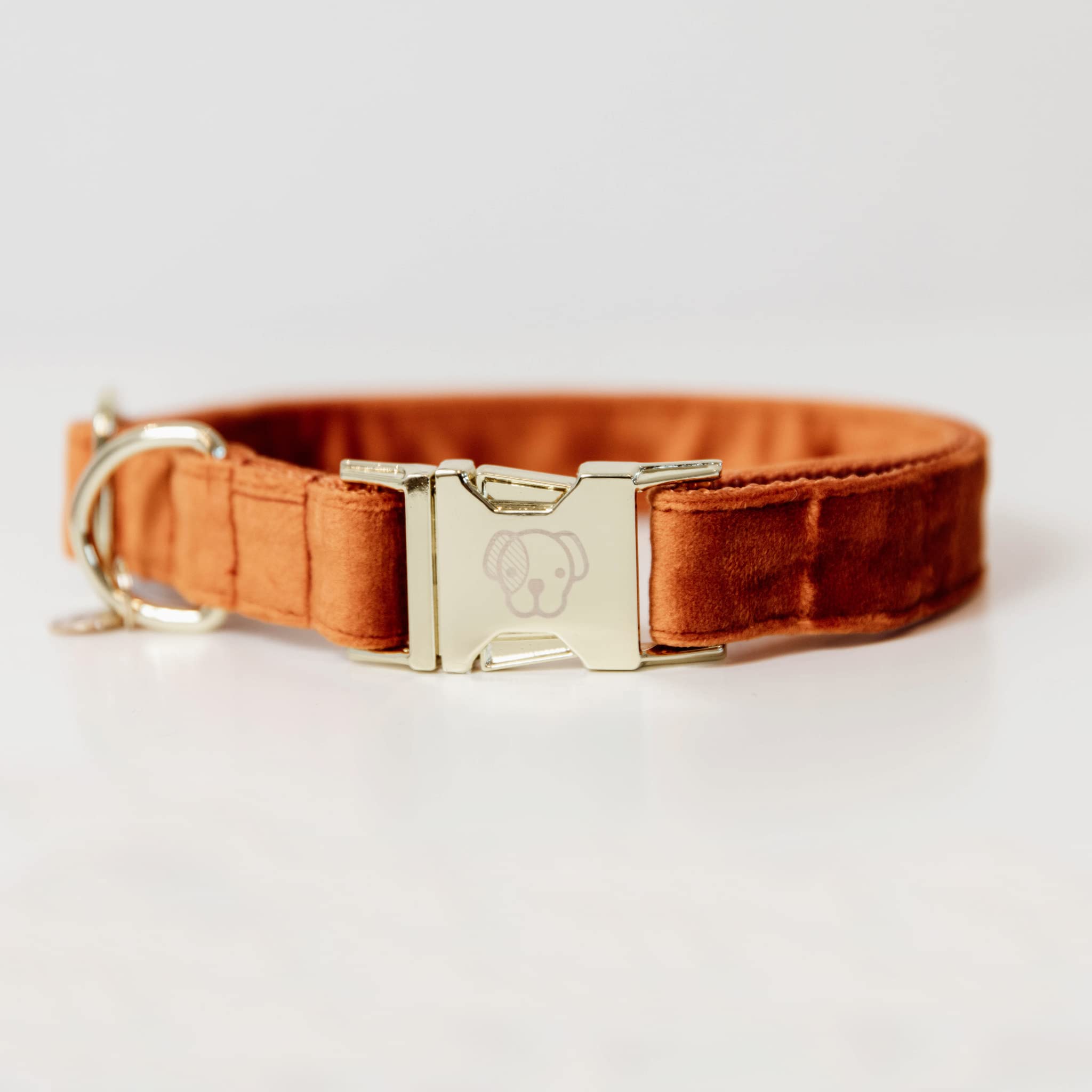 Kentucky Dogwear - Samt Hundehalsband - Orange S - 28-40cm