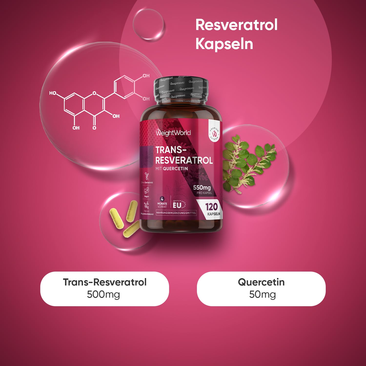 Trans - Resveratrol mit Quercetin 550 mg - 98% Reinheit aus japanischem Knöterich - 4 Monate Vorrat - 120 vegane Kapseln - 1 Kapsel Täglich - Frei von Magnesiumstearat - WeightWorld | 550 mg Trans Resveratrol 98% und Quercetin-Komplex, japanisches Polygon