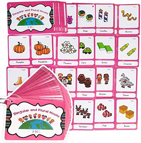 Richardy 70 Groups Singular and Plural Nouns Flashcards Pocket Card Building Vocabulary Homeschool Kindergarten Supplies