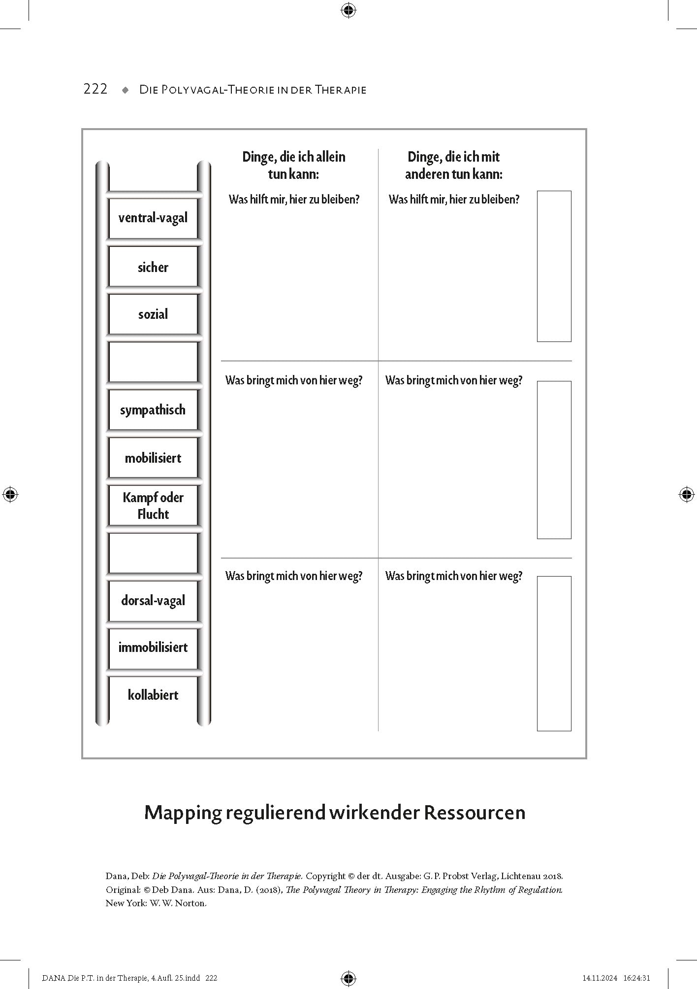 Die Polyvagal-Theorie in der Therapie: Den Rhythmus der Regulation nutzen