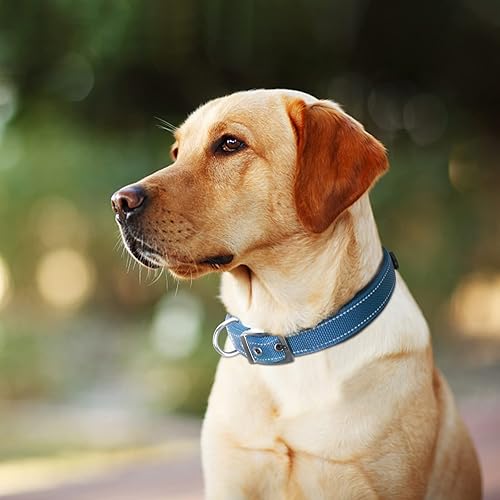 Miniatura 7 de Fida Collar para perro resistente, ultra cómodo y acolchado de neopreno suave, collar de nailon reflectante ajustable para mascotas con hebilla de