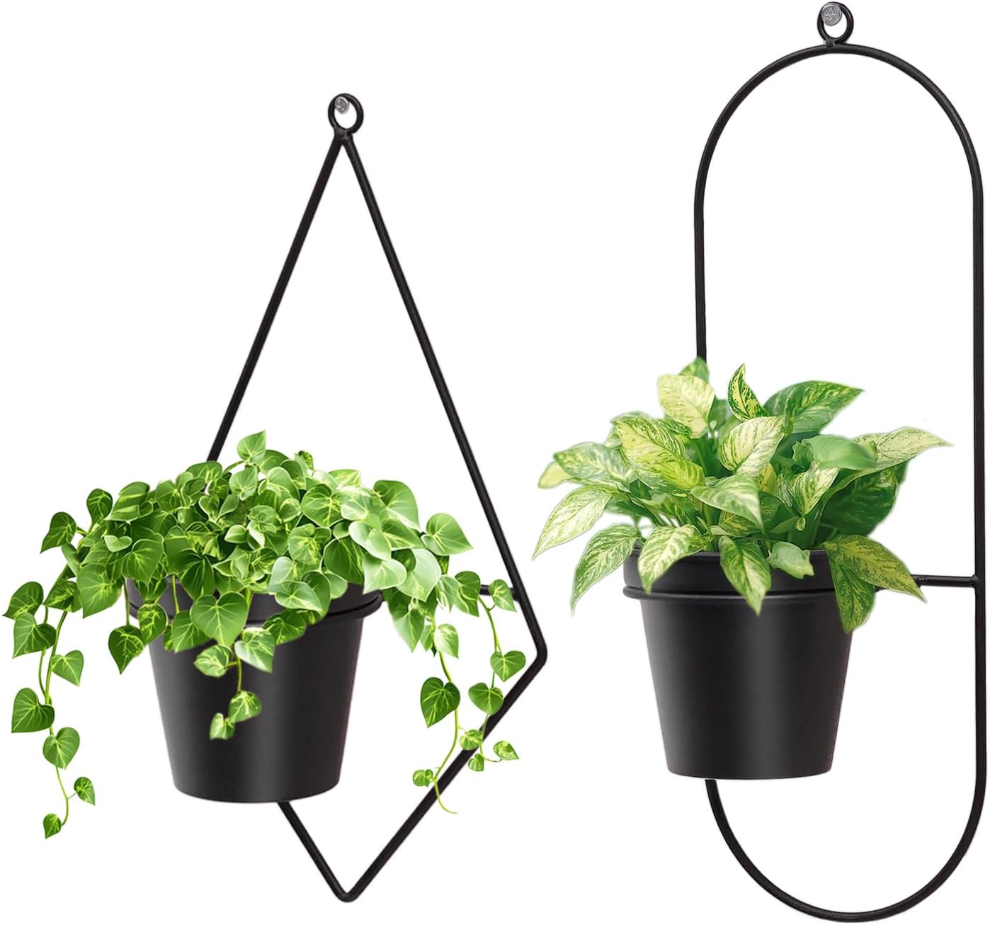 Geometric Wall Planters for Indoor Plants – Set of 2 Black Metal Wall Mounted Plant Holder (Diamond & Oval Shapes) with 5 Inch Flower Pots, Modern haning planters for Indoor Outdoor Décor