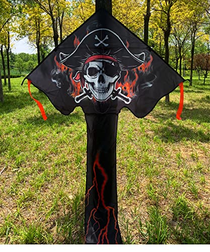 Delta Pirate Kite For Kids, Adults & Beginners, Easy To Fly And Assemble #TOP1